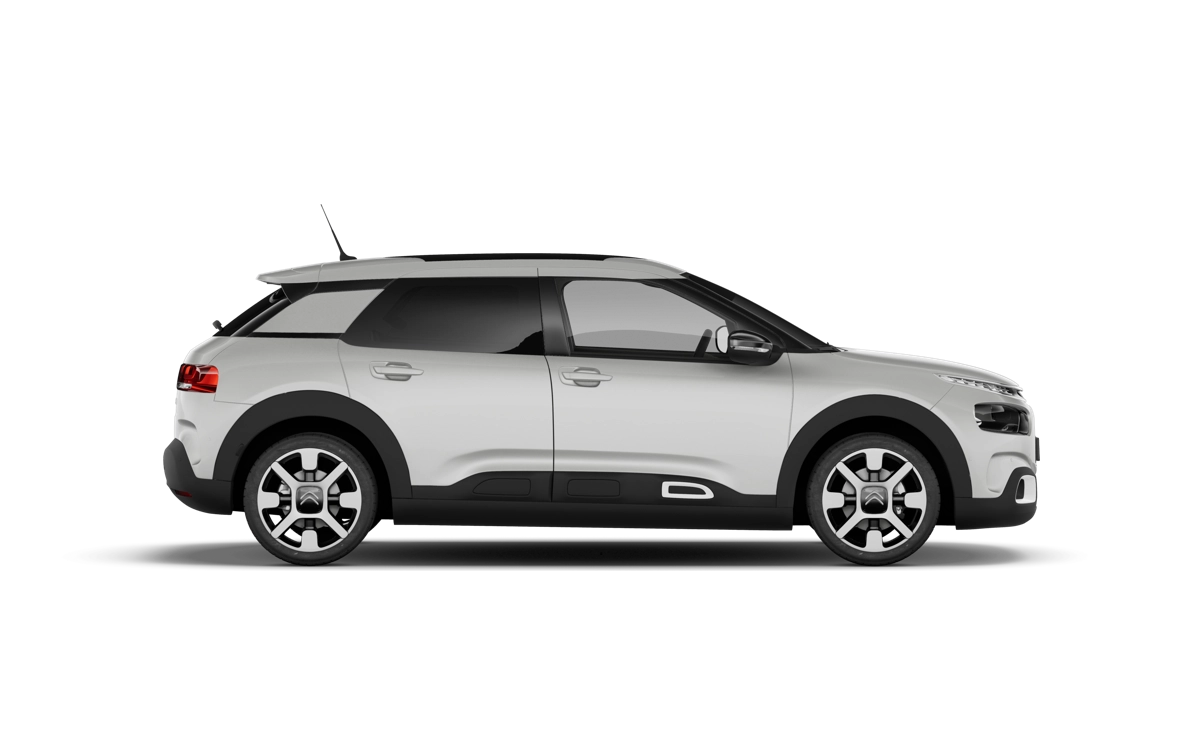 C4 Cactus